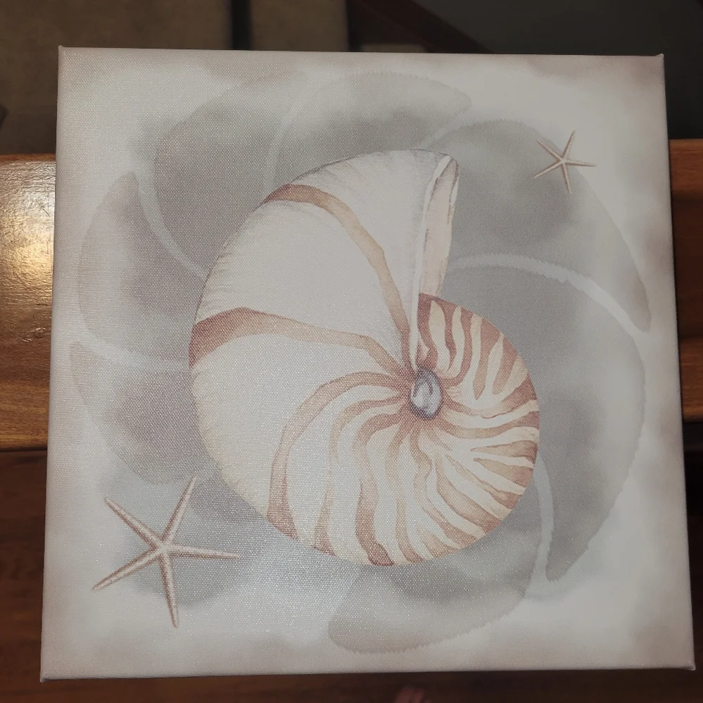 Shell picture - Picture 1 of 3
